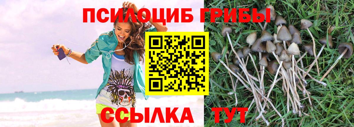 Каменск-Шахтинский  Галлюциногенные грибы Psilocybine cubensis  Вход с VPN  Псилоцибиновые грибы Magic Shrooms 